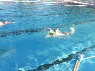 Swim Niels 320