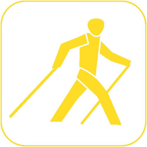 icon nordic walking gelb